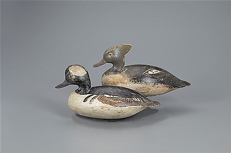 Ira D Hudson : The Mackey-Gregory Hooded Merganser Pair