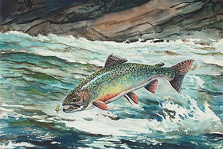 William Schaldach : Leaping Male Eastern Brook Trout