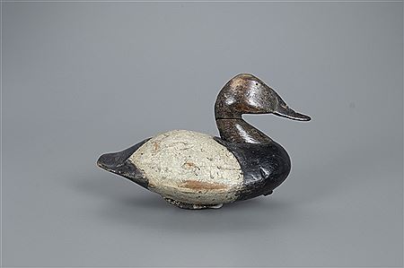 Lee Dudley : Canvasback Drake