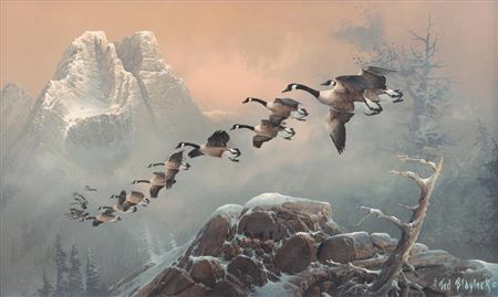 Ted Blaylock : Canadian Geese