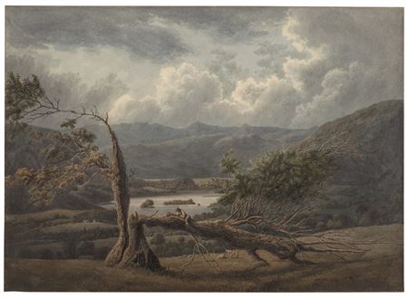 William Green : Ruined ash tree in Rydale Park, Ambleside, Lake District