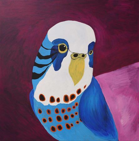 Kushia Young : 'Budgie Dreaming'