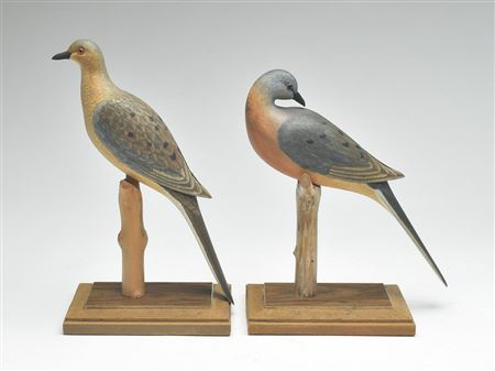 Harold Haertel : Extremely rare pair of passenger pigeon