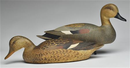 Harold Haertel : Pair of gadwall