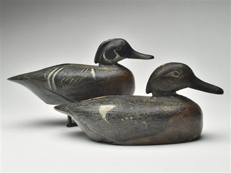 Eugene Cuffee : Early pair of wood ducks