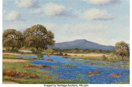 Hugo Herbeck : Spring Bluebonnets near Camp Verde, Texas