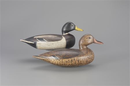 Glen Cameron : Mallard Pair