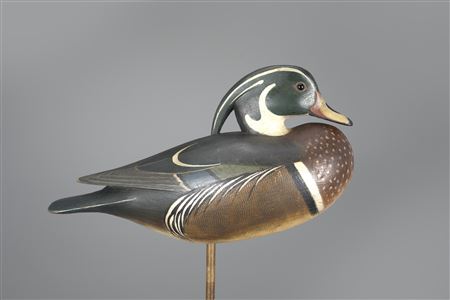 Mark McNair : Standing Wood Duck Drake