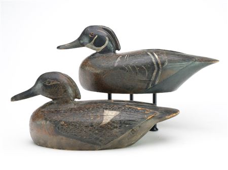 Eugene Cuffee : Pair of wood ducks