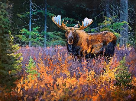 Edward DuRose : Out of the Forest - Bull Moose