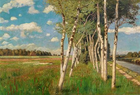 Hans am Ende : Sommer im Moor