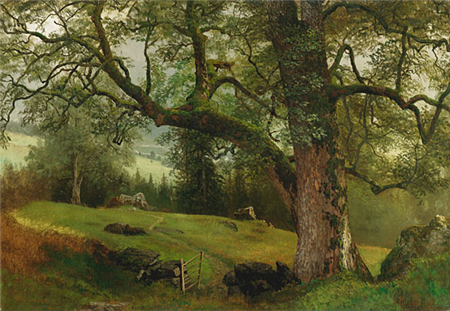 art for sale: Albert Bierstadt