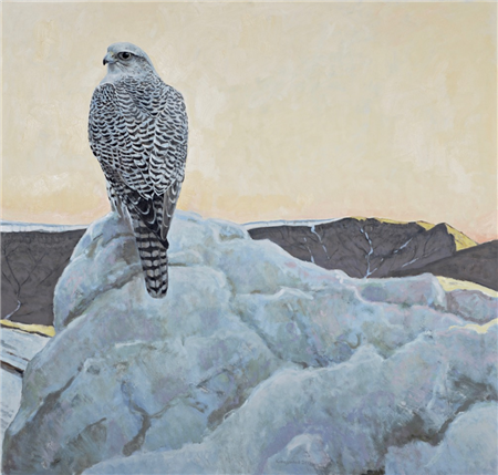 Ron Kingswood
Above the Glacier - Gyrfalcon
oil on canvas
40h x 38w in
101.60h x 96.52w cm