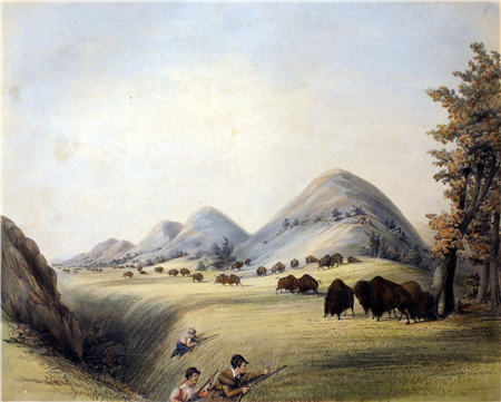 art for sale: George Catlin