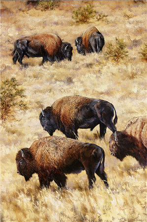 art for sale: Robert Fobear