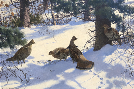 Aiden L. Ripley - Grouse Under the Pines