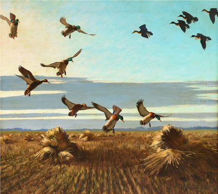 Richard Bishop - Mallards and Wheat