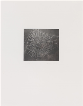 art for sale: Vija Celmins