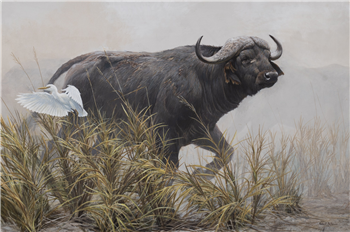 art for sale: Robert Bateman