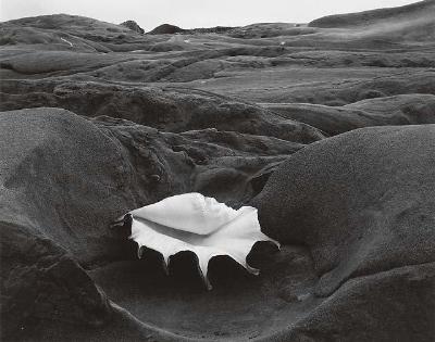 Edward Weston : 