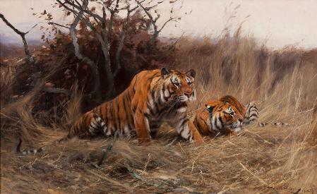 Friedrich Kuhnert (1865-1926) Roused, A Tiger and Tigress, SOLD FOR $333,500