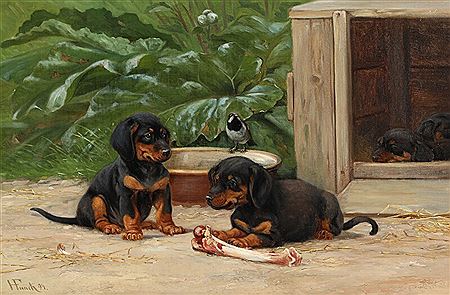 Hermann Funch : Dachshund puppies.