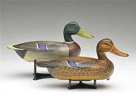 Roy Patterson : Excellent pair of mallards