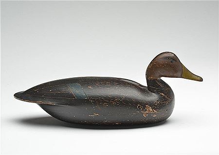 Lloyd Parker : Black duck