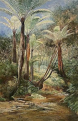 Frank Wright : New Zealand Tree Ferns