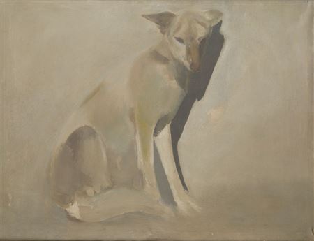 Constantino Grandio : Dog