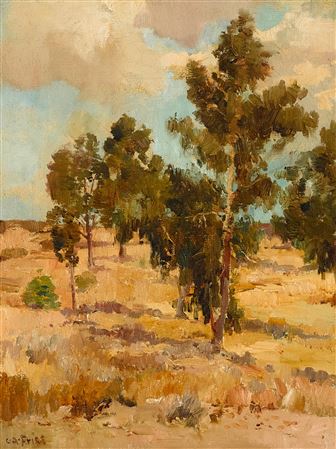 Charles Arthur Fries : Eucalyptus Grove - Balboa Park before the Exposition