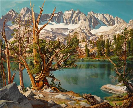 Robert Clunie : Old Whitebark Pine Tree at Summit Lake, Nth Palisade Range, Big Pine, California