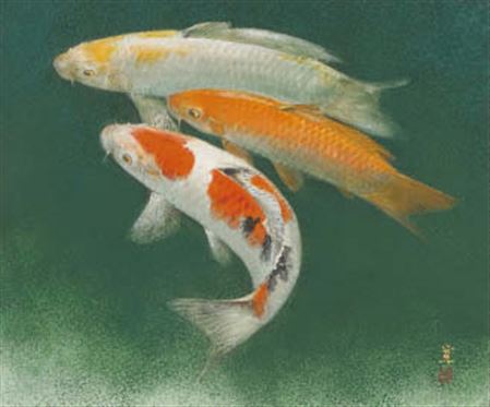 Kanjo Yamashita : Carps