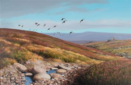 Rodger McPhail : Birds in Flight