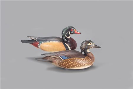 William Gibian : Wood Duck Pair