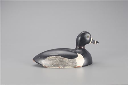 Joel D Barber : Ringnecked Duck