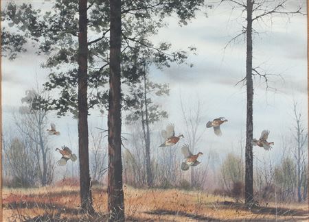 David Hagerbaumer : Bobwhite Quail