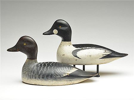 Frank Coombs : Rigmate pair of goldeneye