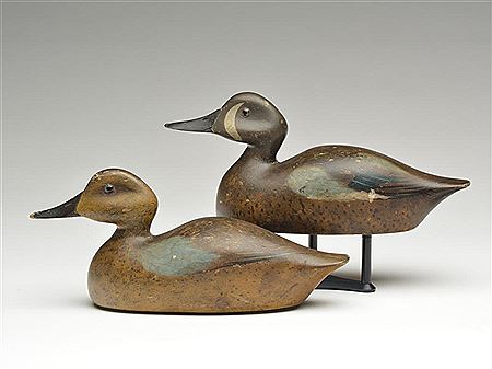 Paul Lipke : Rare pair of bluewing teal