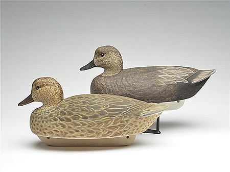 Cigar Daisey : Very rare pair of gadwall