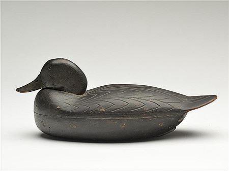 Harry Fennimore : Black duck