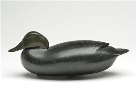 Joseph King : Black duck