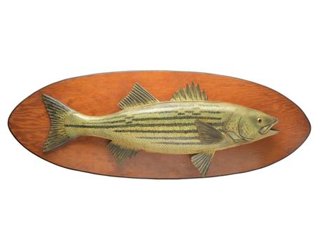 Lawrence Irvine : Extremely rare striped bass fish plaque