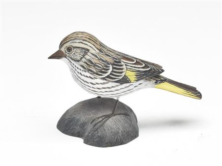 Jesse Blackstone : Pine siskin