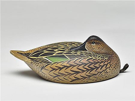 William H Cranmer : Important sleeping greenwing teal hen