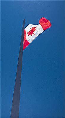 Charles Pachter : Painted Flag