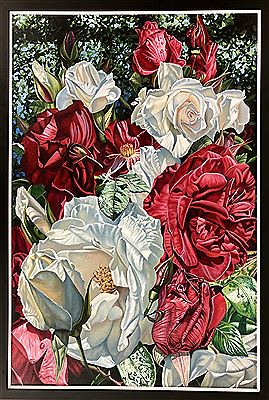 Paul Coney : Roses