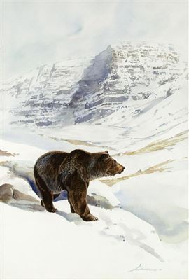 Stephen (Steve) C Elliott : GRIZZLY IN SNOW