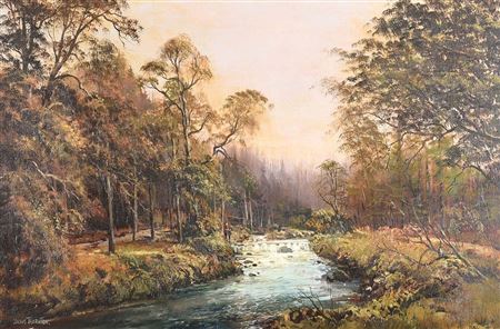 Denis Thornton : TOLLYMORE FOREST, NEWCASTLE