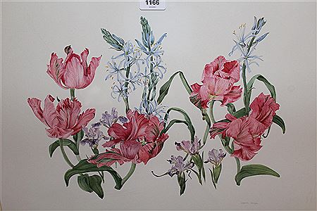 Elspeth Harrigan : Study of tulips